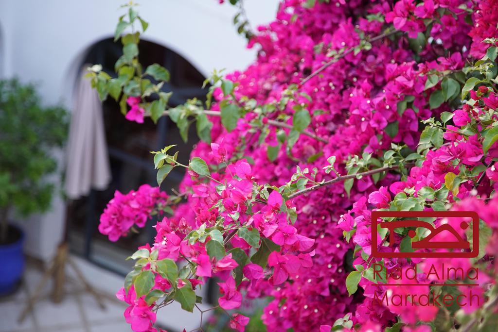 Riad Alma Маракеш Екстериор снимка